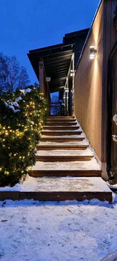 Luxury Villa Rauhankatu Rovaniemi Exterior photo